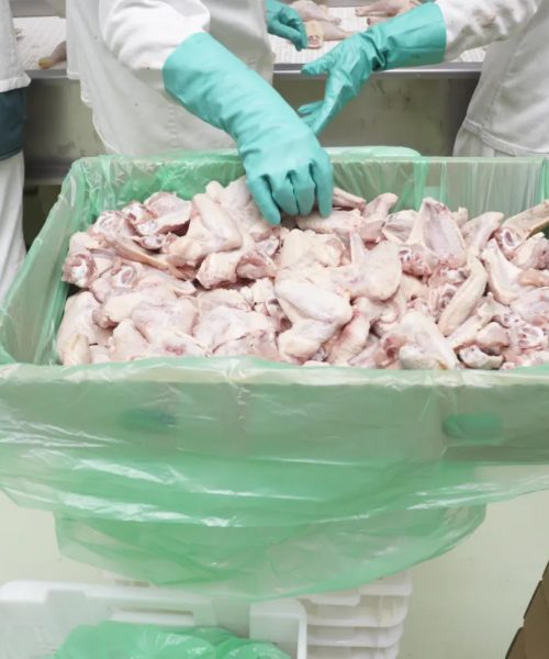 Plastic Polythene Hygienic FilmsMeat, Poultry and Fish