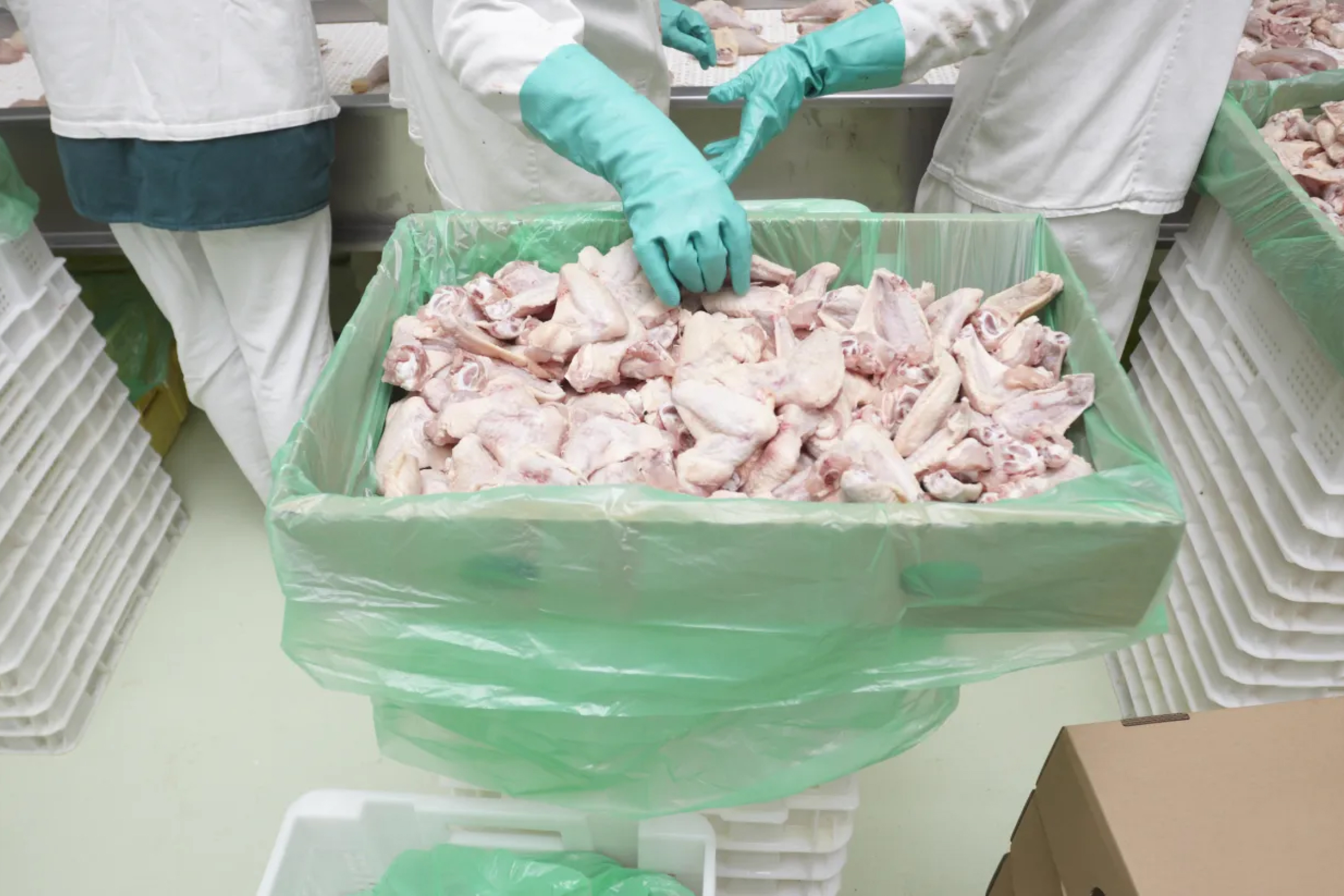 Plastic Polythene Hygienic FilmsMeat, Poultry and Fish