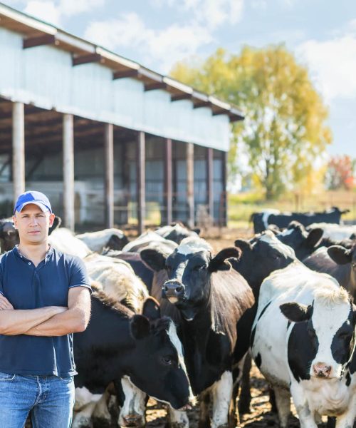 Dairy Plastic Films, Sheets & Bags