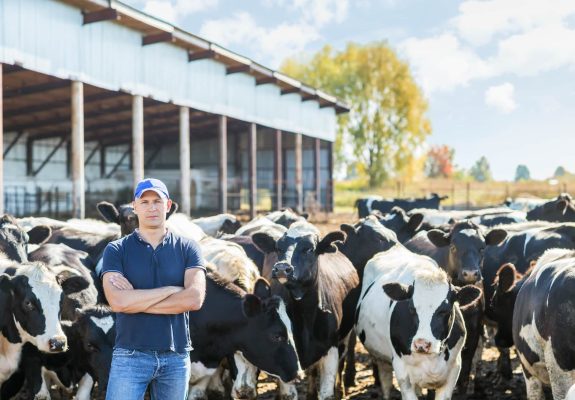 Dairy Plastic Films, Sheets & Bags