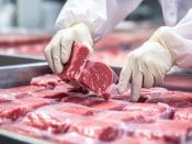 Recycled Plastic Box Liners & Packaging for Food & Meat